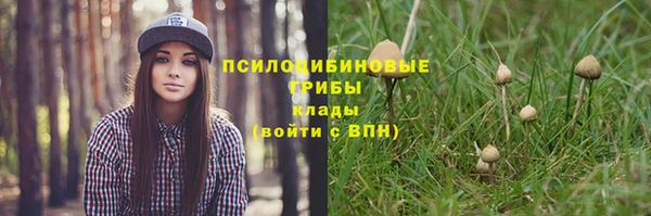 марки lsd Абаза