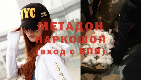 индика Алзамай