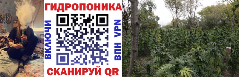 OMG ONION  где купить   Советский  Каннабис Ganja 